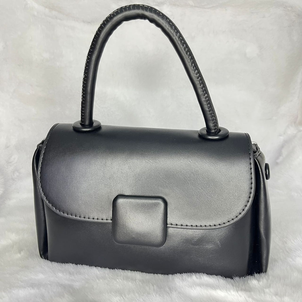 SAC263313